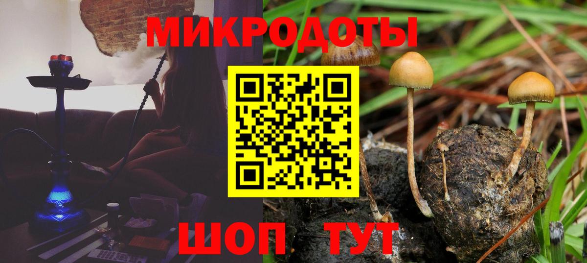 Галлюциногенные грибы Psilocybine cubensis Малгобек